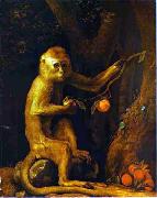 George Stubbs Green Monkey oil